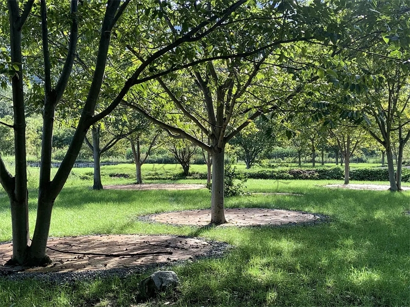 大理小重山鹿鳴山莊戶(hù)外基地