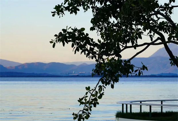 大理策劃公司:海舌，洱海邊的“寶藏公園”