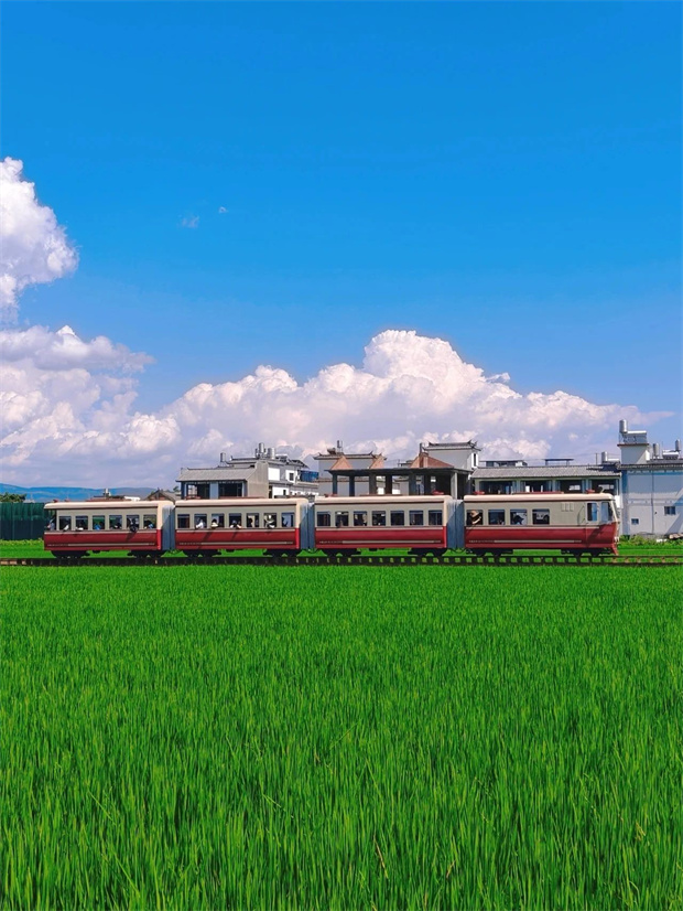大理旅游,大理旅行社,大理團(tuán)建公司,大理策劃公司,大理會(huì)議會(huì)展,云南旅游,云南旅行社,云南團(tuán)建公司,云南策劃公司,云南會(huì)議會(huì)展：坐上喜洲稻田小火車，一秒進(jìn)入動(dòng)漫畫(huà)卷